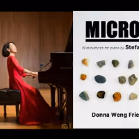 Pianist Donna Weng Friedman to Premiere New Recordings of Music by Kim D. Sherman…