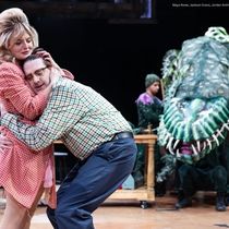 Review: LITTLE SHOP OF HORRORS at Marriott Theatre, Lincolnshire IL