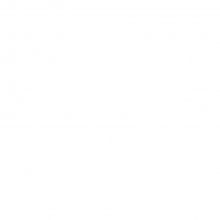 In-Person BORDERLIGHT FESTIVAL Postponement Announced