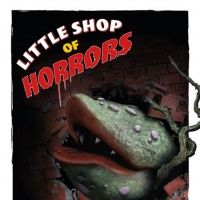 BWW Review: LITTLE SHOP OF HORRORS at ACT Of Connecticut