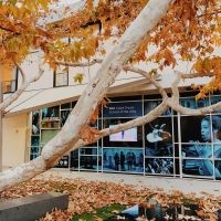 BWW Blog: Room To Grow