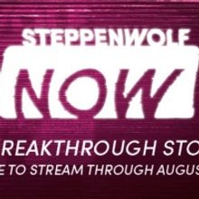 Steppenwolf NOW: 50% Off Six Groundbreaking Stories