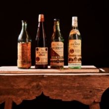 BACARDÍ Reaches 1,000 Accolades and Recognitions by Spirits Competitions