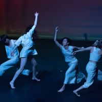 ZviDance Presents The World Premiere Of MAIM At New York Live Arts