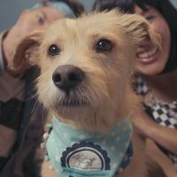 Matt and Kim Drop Surprise New Single 'Money'