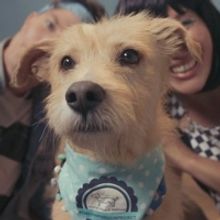 Matt and Kim Drop Surprise New Single 'Money'