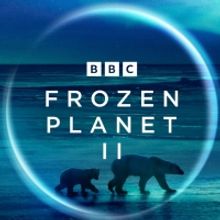 FROZEN PLANET II to Premiere on BBC in January