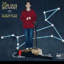 THE CURIOUS INCIDENT OF THE DOG IN THE NIGHT-TIME Set For Newtown Stage In October