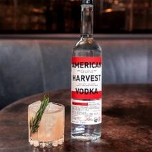 MAMA NEEDS A DRINK- Two Vodka Cocktails for Mother's Day