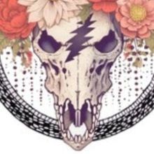 Bobby Weir Confirms Run of New Years Shows in Fort Lauderdale