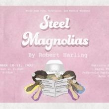 STEEL MAGNOLIAS Comes to the DeBartolo Performing Arts Center Next Month