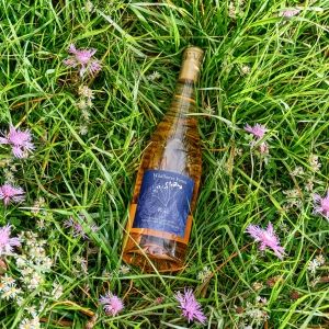 Destinations to Celebrate National Rosé Day in Style