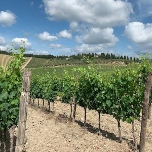 SILK & SPICE and CASA FERREIRINHA Portuguese Blends for National Red Wine Day on 8/28