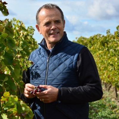 Interview: Stefano Casadei-Winemaker for Famiglia Casadei