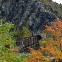 Student Blog: Finding Out What Truly Matters