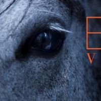 Kathleen Chalfant and George Bartenieff to Star in World Premiere of BLUE VALIANT
