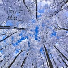 Previews: Winter Shows Coming Up in Dayton