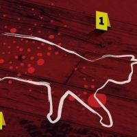 Roann McCloskey is Back at Vault Festival with WHO MURDERED MY CAT?