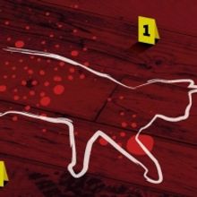 Roann McCloskey is Back at Vault Festival with WHO MURDERED MY CAT?