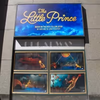 Meet the Cast of THE LITTLE PRINCE