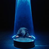 Choreographer Eric Cheung to Premiere CONTRA at Scotiabank Dance Centre