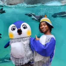 ONE TINY PENGUIN Will Open at Birmingham Hippodrome