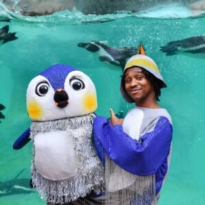 ONE TINY PENGUIN Will Open at Birmingham Hippodrome