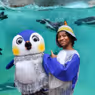 ONE TINY PENGUIN Will Open at Birmingham Hippodrome