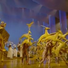 VIDEOS: Go Behind the Scenes of THE LION KING in New Educational Series