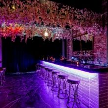 Vesper Owners Are Debuting New Cocktail and Music Hideaway 'Leda and The Swan'