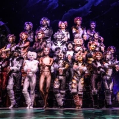BWW Interview: Timothy Gulan of CATS at Majestic Theatre