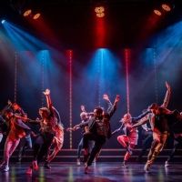 Review: BEING STEVE at Theatre On The Bay Crackles with Talent, Energy and Ambition