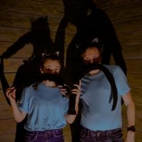 Elm Street Brings Shakespeare Comedy Outdoors with A COMEDY OF ERRORS