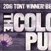 THE COLOR PURPLE On Sale At DPAC September 13th