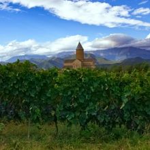 Explore GEORGIAN WINES in the New Year