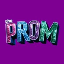 New Jersey High School Will Allow THE PROM Musical To Go On After Social Media Outcry