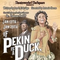 IF PEKIN IS A DUCK, WHY AM I IN CHICAGO? World Premiere to Open at Playhouse on the…