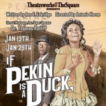 IF PEKIN IS A DUCK, WHY AM I IN CHICAGO? World Premiere to Open at Playhouse on the S