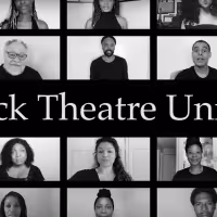 Several Broadway Stars Among Founding Members of BLACK THEATRE UNITED, A Coalition…