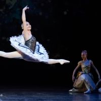 Review: CINDERELLA at the Artscape