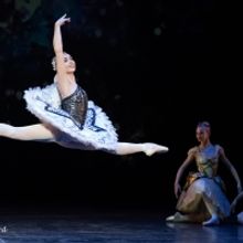 Review: CINDERELLA at the Artscape