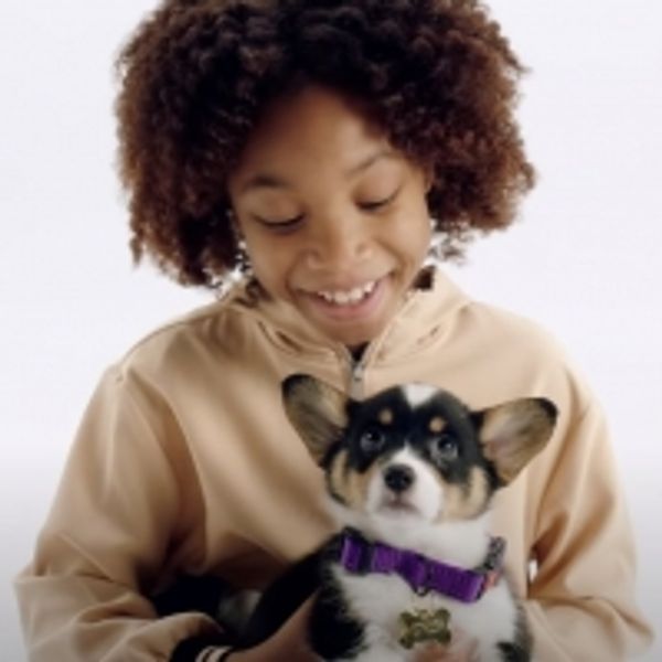 VIDEO: Watch the Music Video For Daveed Diggs' Hanukkah Song, 'Puppy For Hanukkah' - Broadway Theater Video