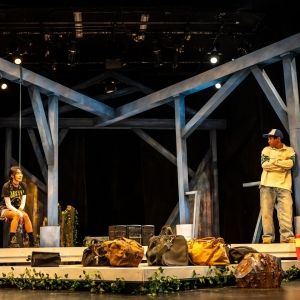 Review: Great Canadian Theatre Company's Presentation of THE WALTZ