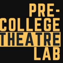 Summer Theatre of New Canaan Presents Two Week MasterClass/Workshop Program