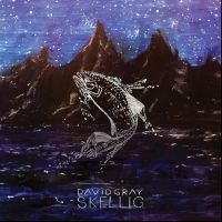 David Gray Releases 'Skellig' on Vinyl & CD