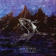 David Gray Releases 'Skellig' on Vinyl & CD