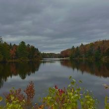 Student Blog: Seasons of a Year