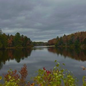 Student Blog: Seasons of a Year