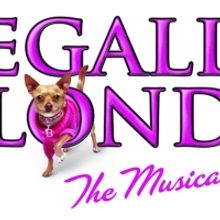 Get 25% Off Tickets to LEGALLY BLONDE at NTPA Repertory Theatre