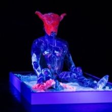 Los Angeles Premiere of ACEPHALOUS MONSTER to be Presented at Roy and Edna Disney/Cal